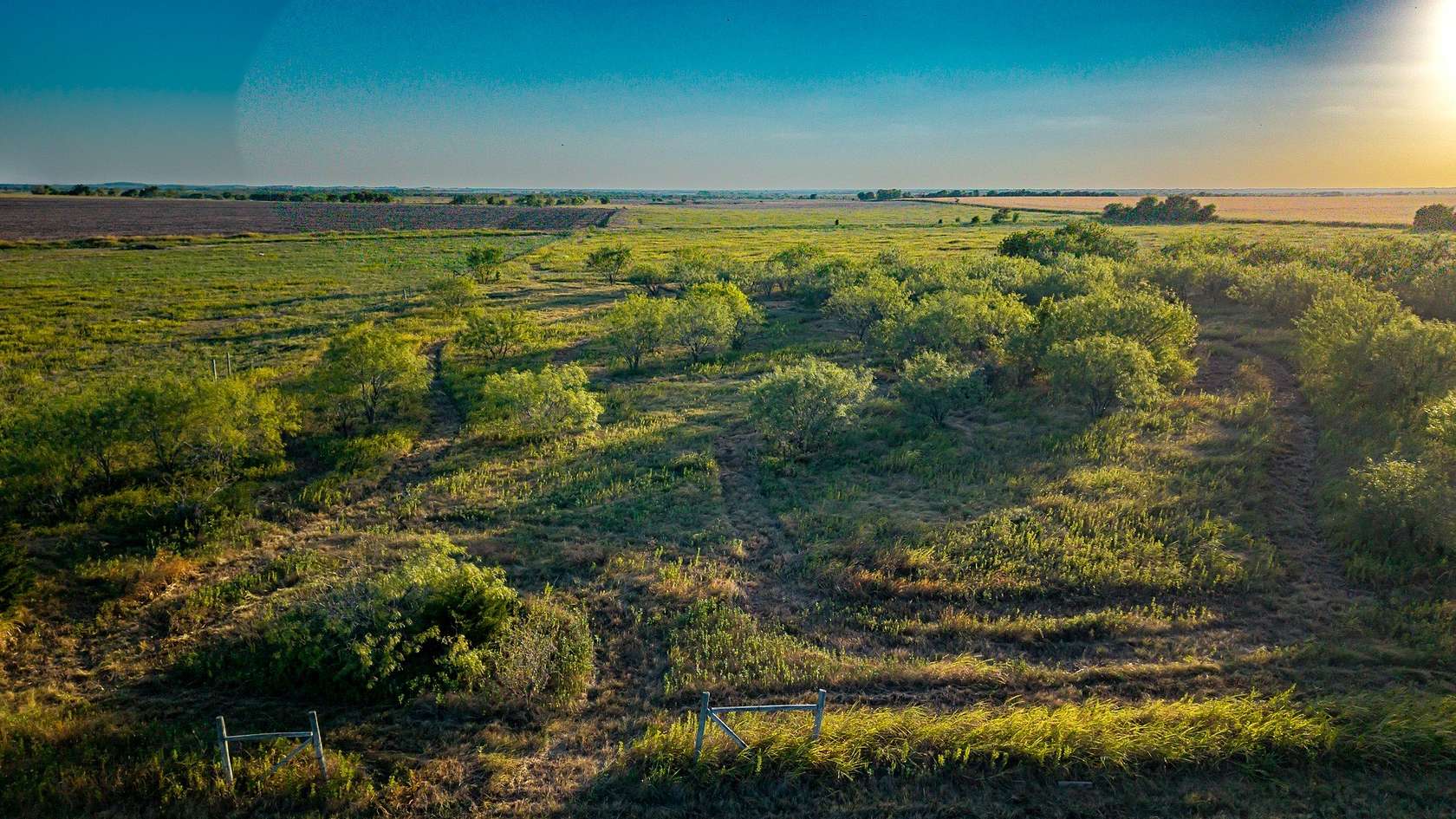 23.9 Acres of Land for Sale in Avalon, Texas