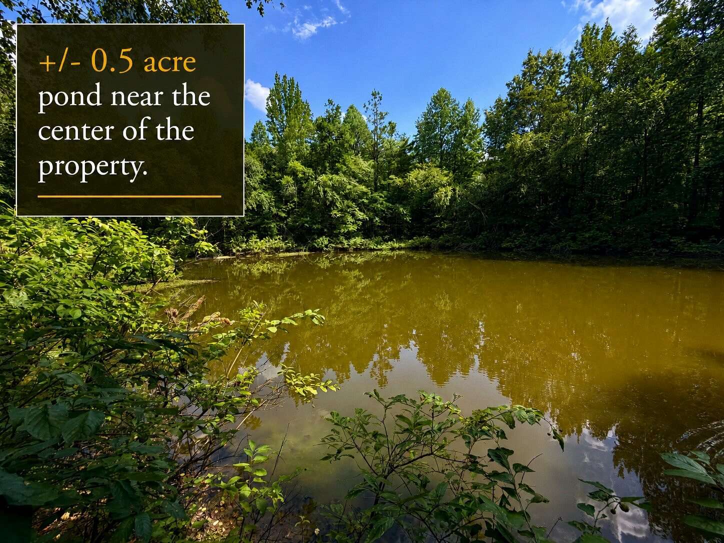 217 Acres of Land for Sale in Booneville, Mississippi