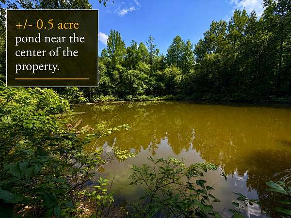 217 Acres of Land for Sale in Booneville, Mississippi