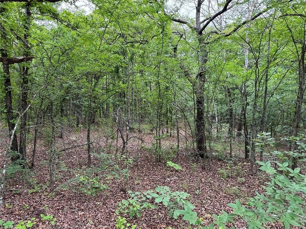 20 Acres of Land for Sale in Wewoka, Oklahoma