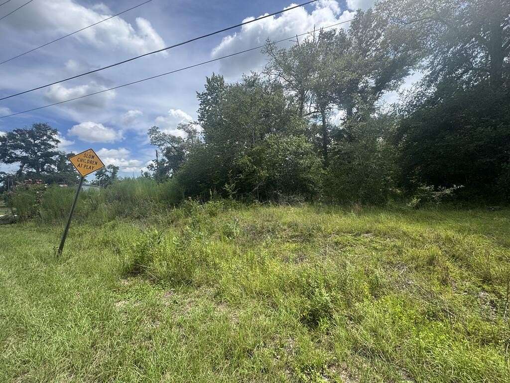 0.32 Acres of Land for Sale in Uvalda, Georgia