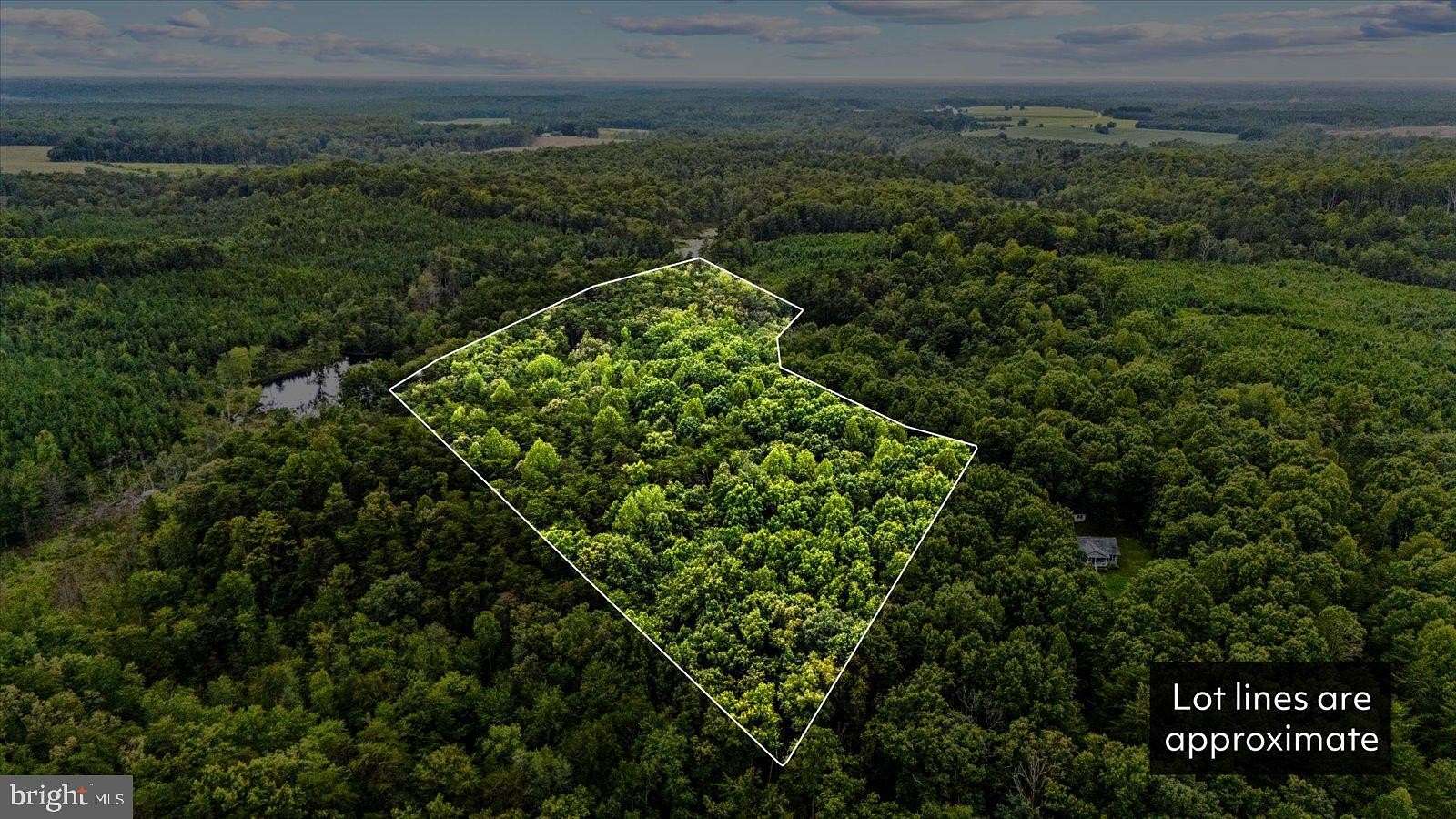 10.7 Acres of Recreational Land for Sale in Ruther Glen, Virginia