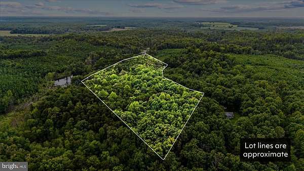 10.7 Acres of Recreational Land for Sale in Ruther Glen, Virginia