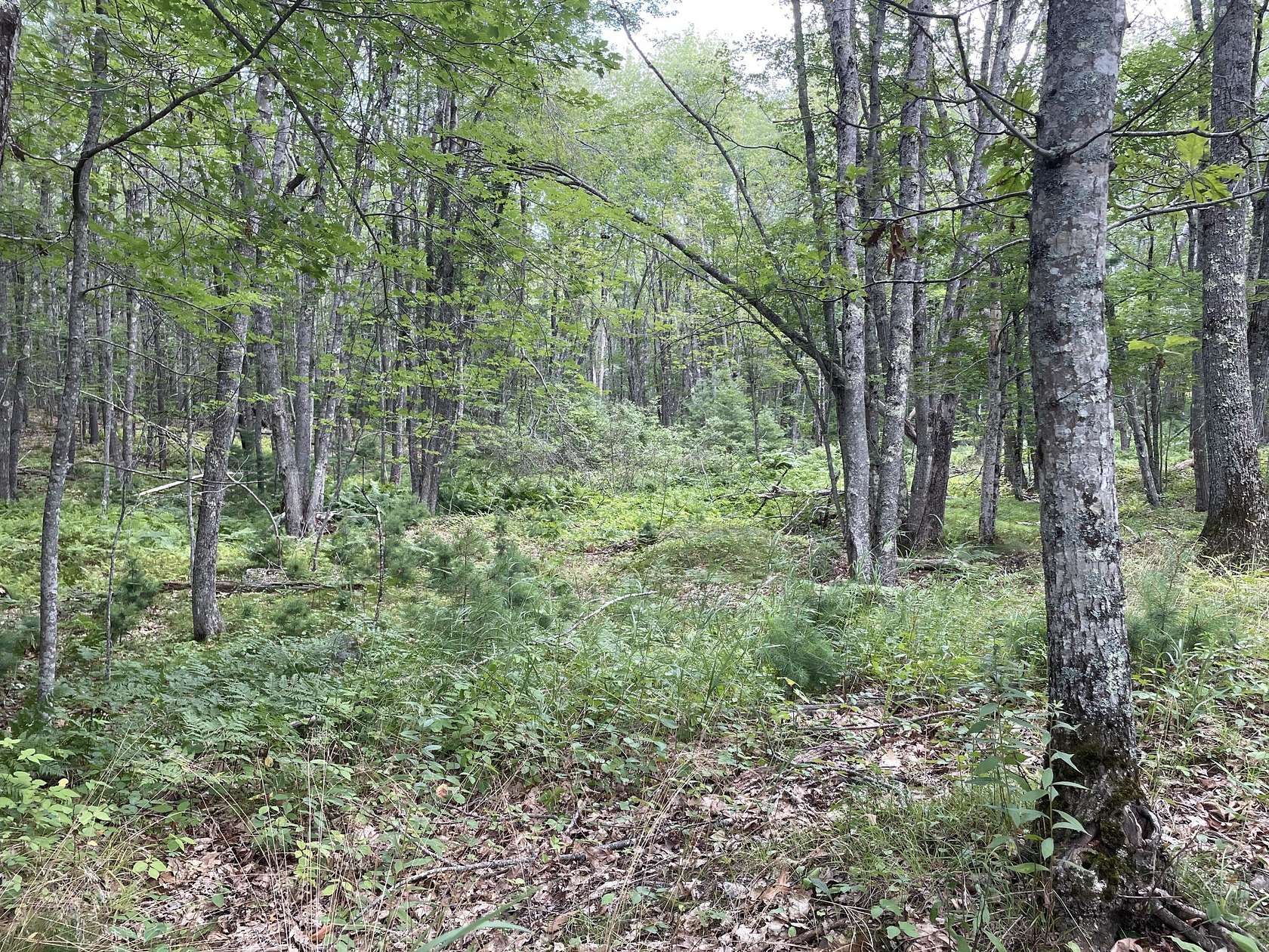 6 Acres of Residential Land for Sale in Arrowsic, Maine