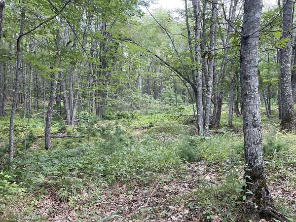 6 Acres of Residential Land for Sale in Arrowsic, Maine