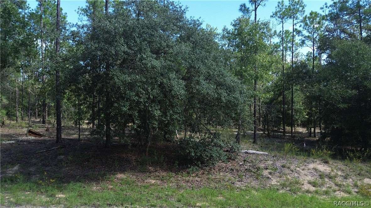 0.23 Acres of Residential Land for Sale in Citrus Springs, Florida