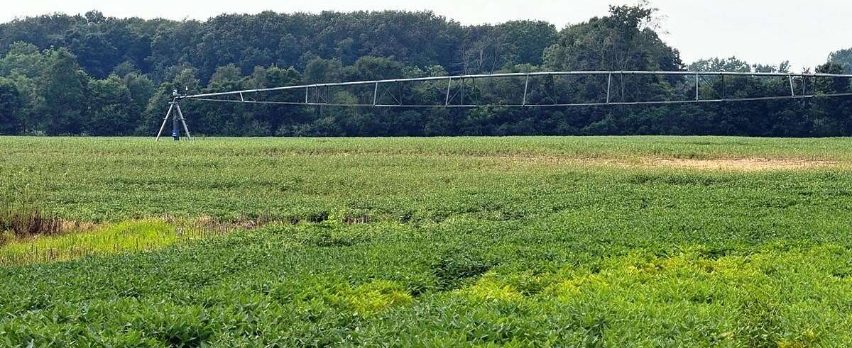 46.6 Acres of Land for Sale in Grovertown, Indiana