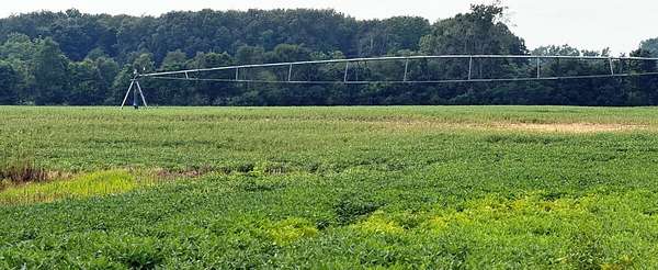 46.6 Acres of Land for Sale in Grovertown, Indiana