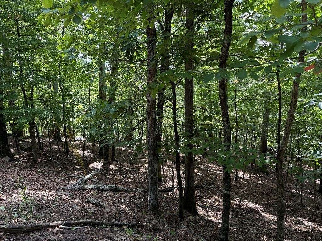 0.89 Acres of Residential Land for Sale in Waleska, Georgia