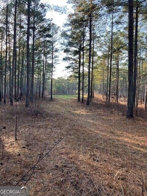 913 Acres of Recreational Land for Sale in Rayle, Georgia
