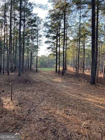 913 Acres of Recreational Land for Sale in Rayle, Georgia