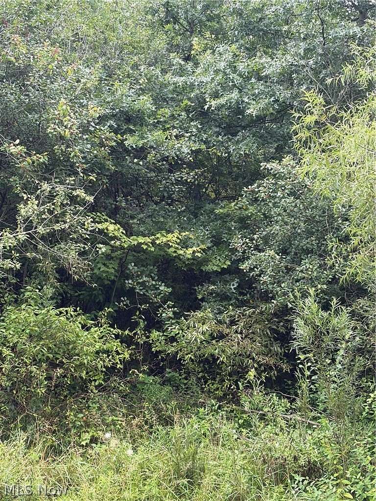 5.26 Acres of Land for Sale in Youngstown, Ohio