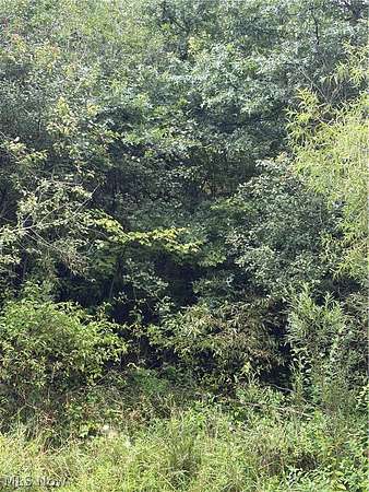 5.26 Acres of Land for Sale in Youngstown, Ohio