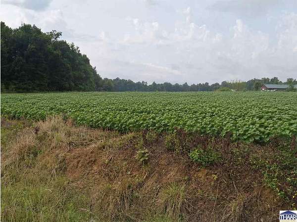 30.5 Acres of Agricultural & Residential Land for Sale in Lewis, Indiana