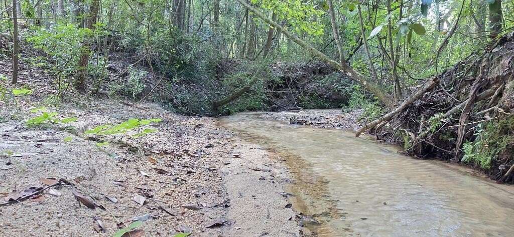 8 Acres of Residential Land for Sale in Wicksburg, Alabama