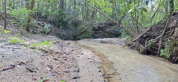 8 Acres of Residential Land for Sale in Wicksburg, Alabama