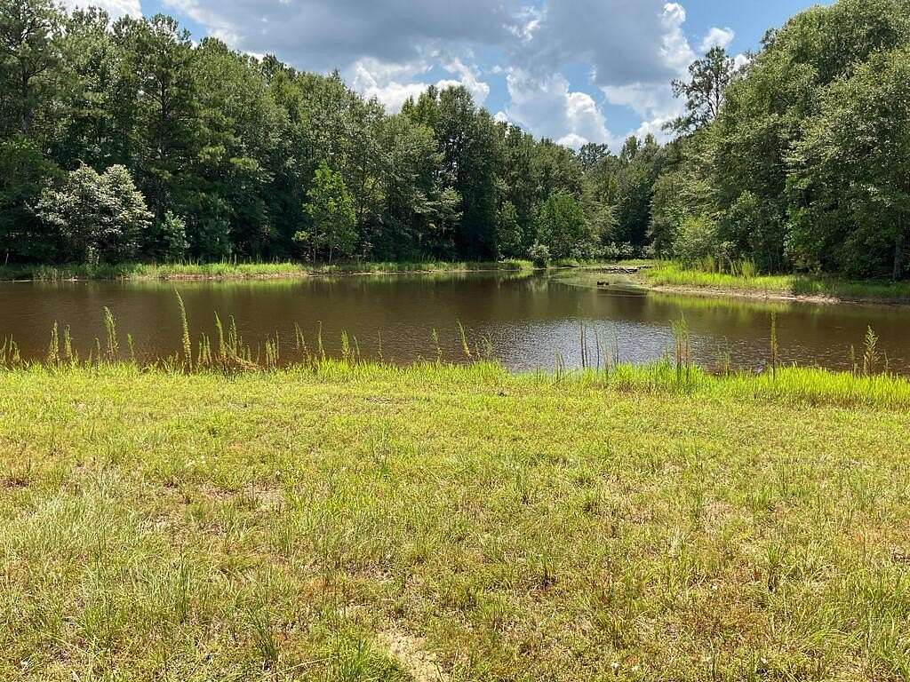 63.1 Acres of Recreational Land for Sale in Luverne, Alabama