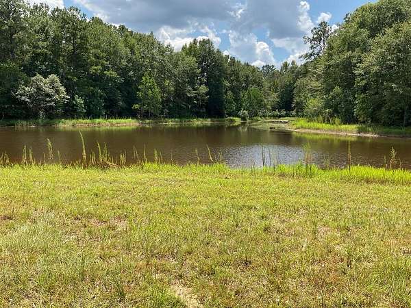 63.1 Acres of Recreational Land for Sale in Luverne, Alabama