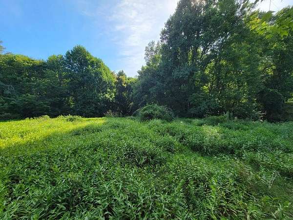 7.59 Acres of Residential Land for Sale in Mouth of Wilson, Virginia