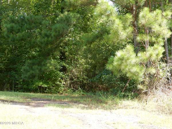 50 Acres of Recreational & Residential Land for Sale in Roberta, Georgia