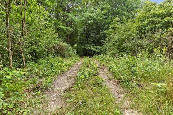 23.5 Acres of Recreational & Residential Land for Sale in Stanton, Michigan
