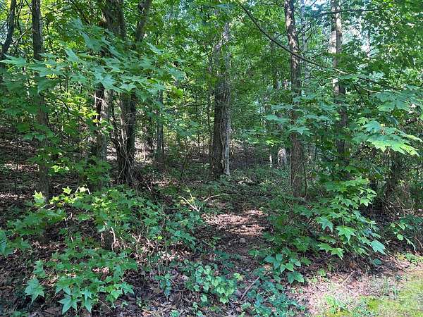 0.73 Acres of Residential Land for Sale in Charlotte, North Carolina