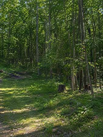 0.77 Acres of Land for Sale in Randall, Minnesota
