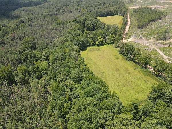 78 Acres of Recreational & Residential Land for Sale in Paris, Mississippi