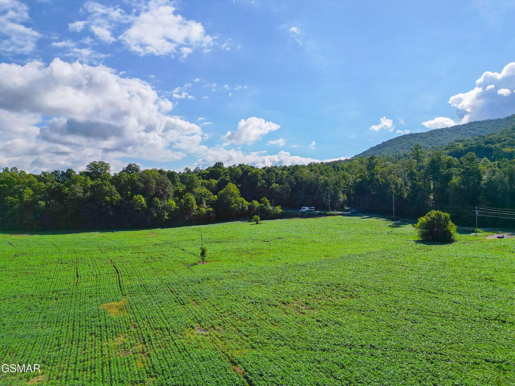61 Acres of Land for Sale in Cosby, Tennessee