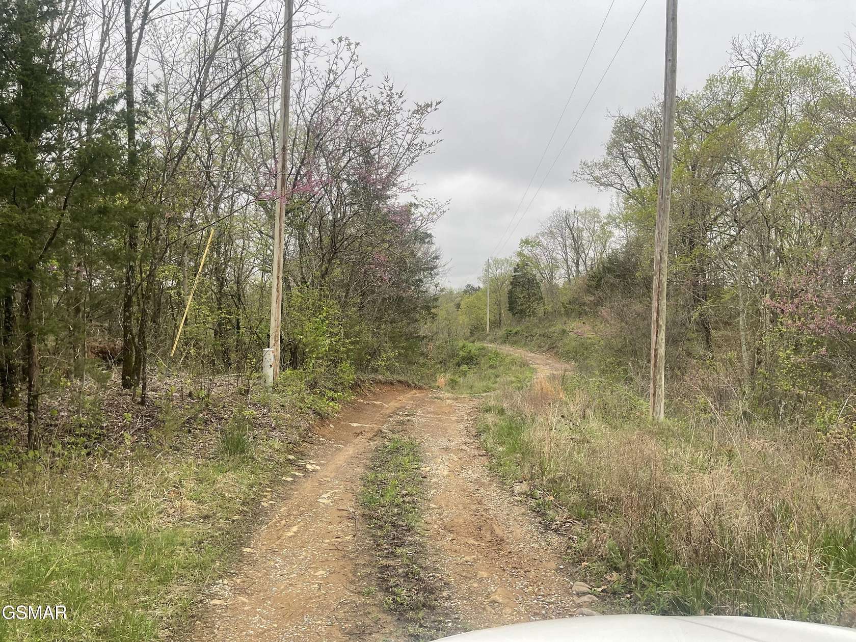 10 Acres of Land for Sale in Parrottsville, Tennessee