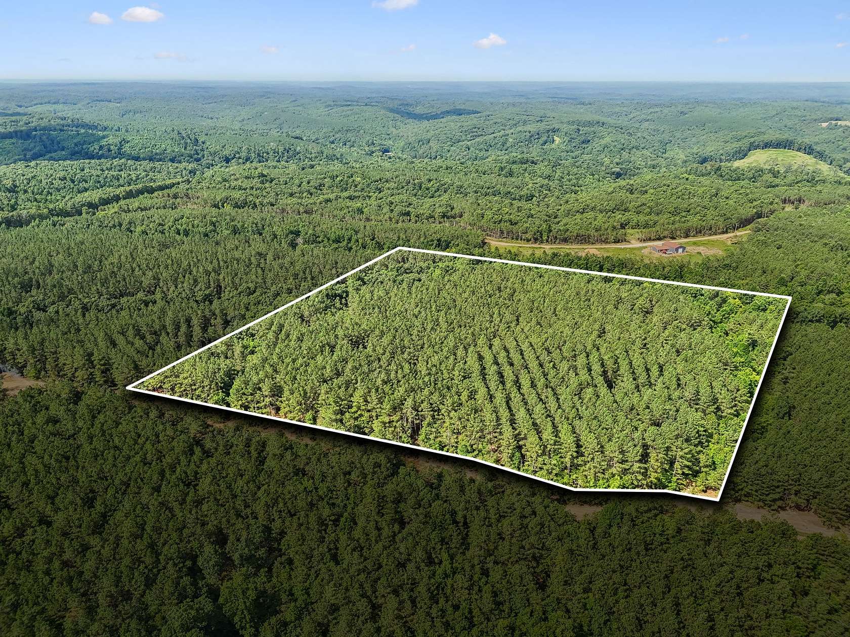 17 Acres of Land for Sale in Shady Grove, Tennessee