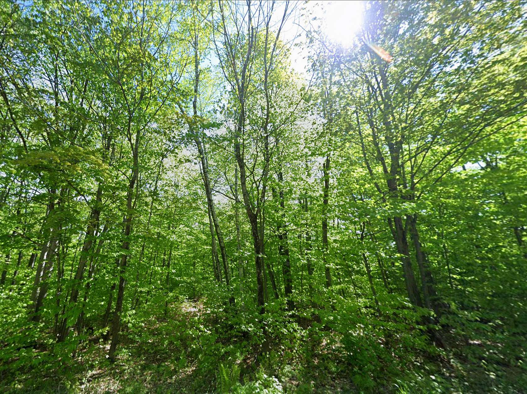 11 Acres of Recreational & Residential Land for Sale in Farmington, Maine