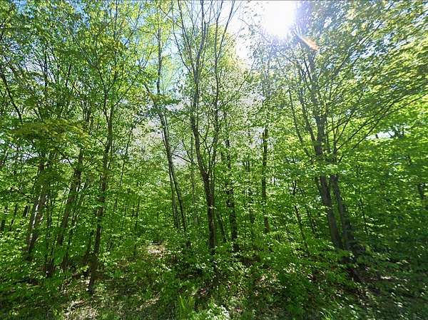 11 Acres of Recreational & Residential Land for Sale in Farmington, Maine