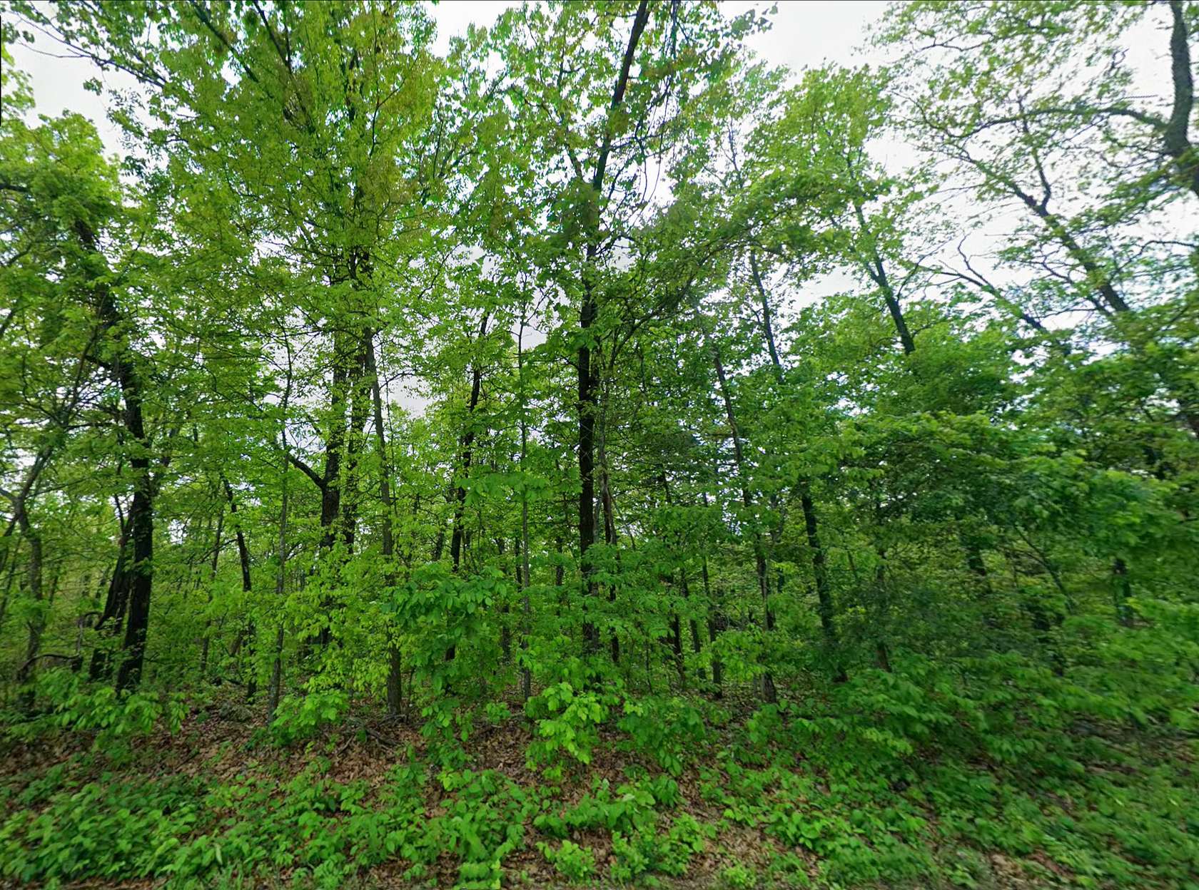 1.3 Acres of Residential Land for Sale in Norwood, Missouri