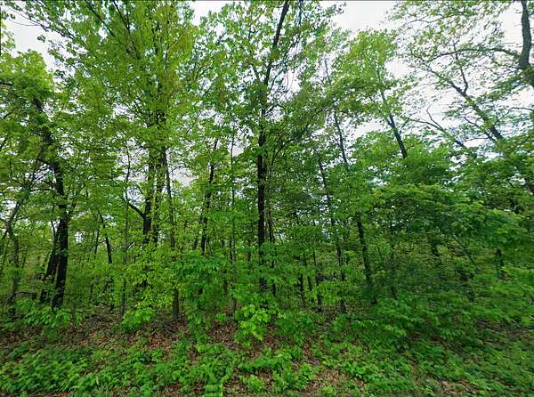 1.3 Acres of Residential Land for Sale in Norwood, Missouri