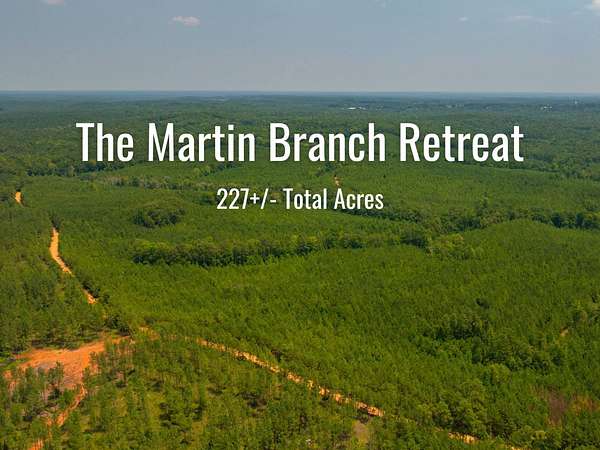 227 Acres of Recreational & Residential Land for Auction in Musella, Georgia