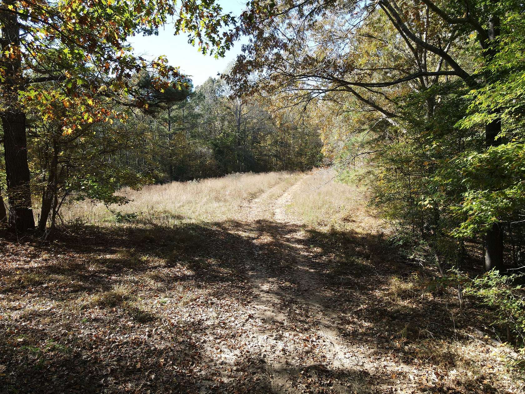 200 Acres of Recreational & Residential Land for Sale in Springville, Tennessee