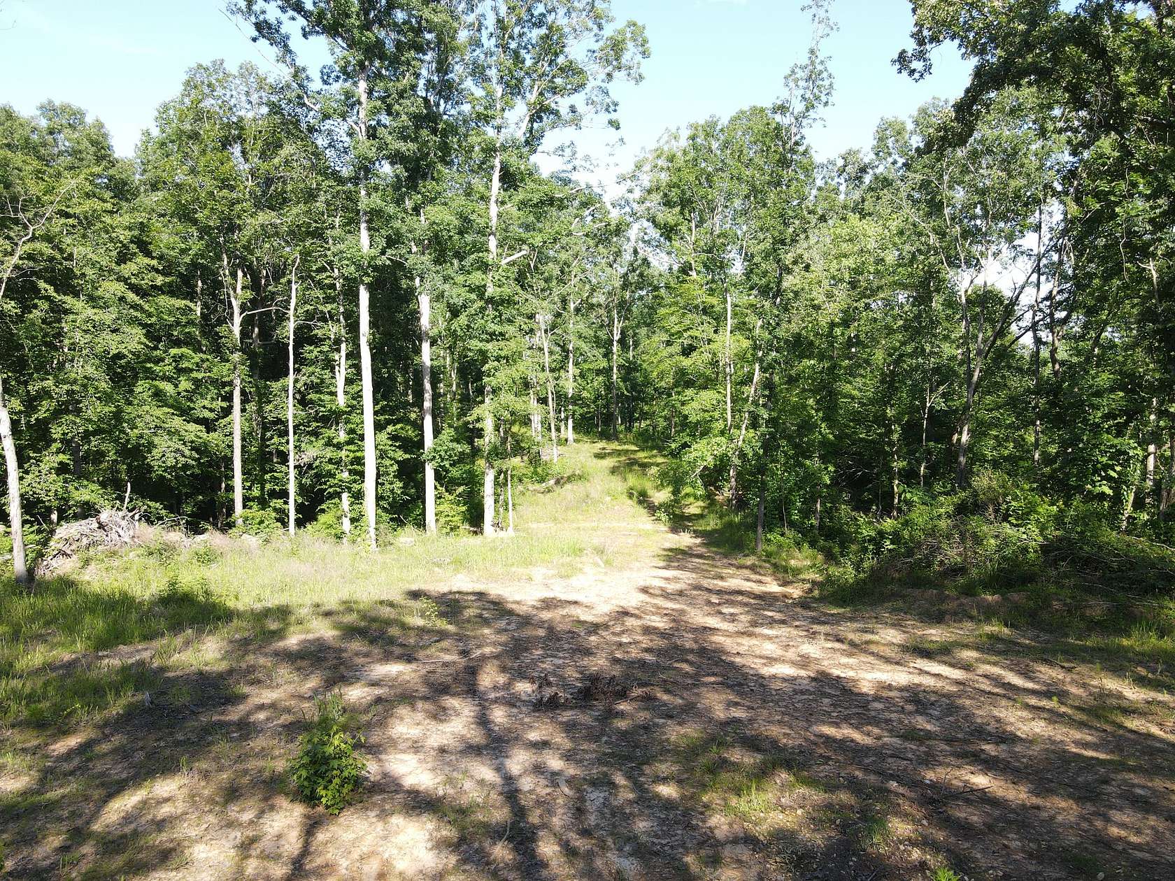 45 Acres of Recreational & Residential Land for Sale in Springville, Tennessee
