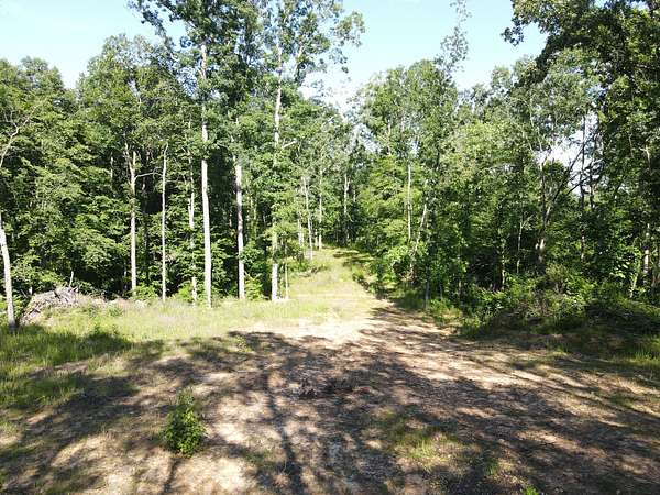 45 Acres of Recreational & Residential Land for Sale in Springville, Tennessee