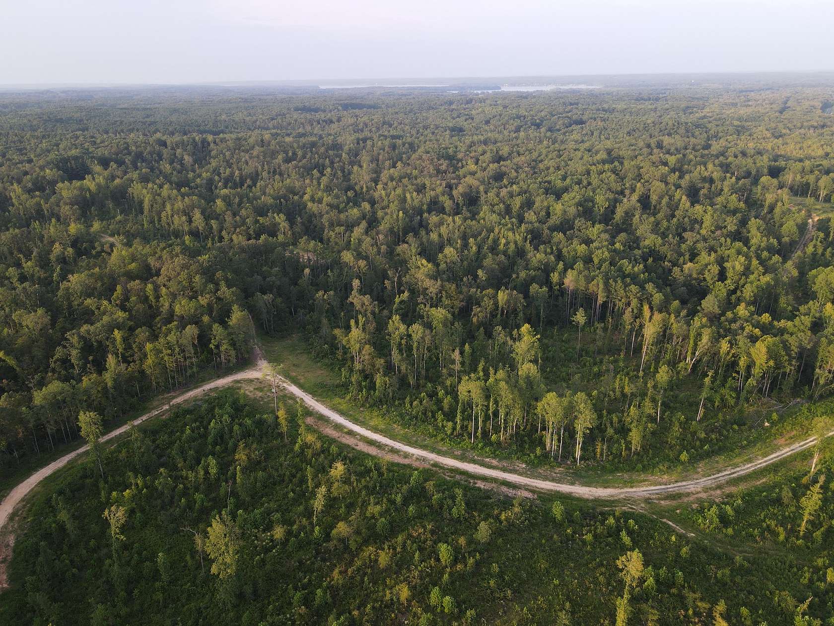 135 Acres of Recreational & Residential Land for Sale in Springville, Tennessee