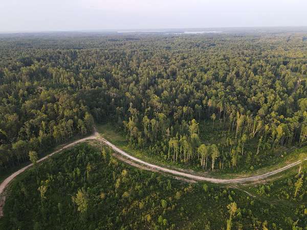 135 Acres of Recreational & Residential Land for Sale in Springville, Tennessee