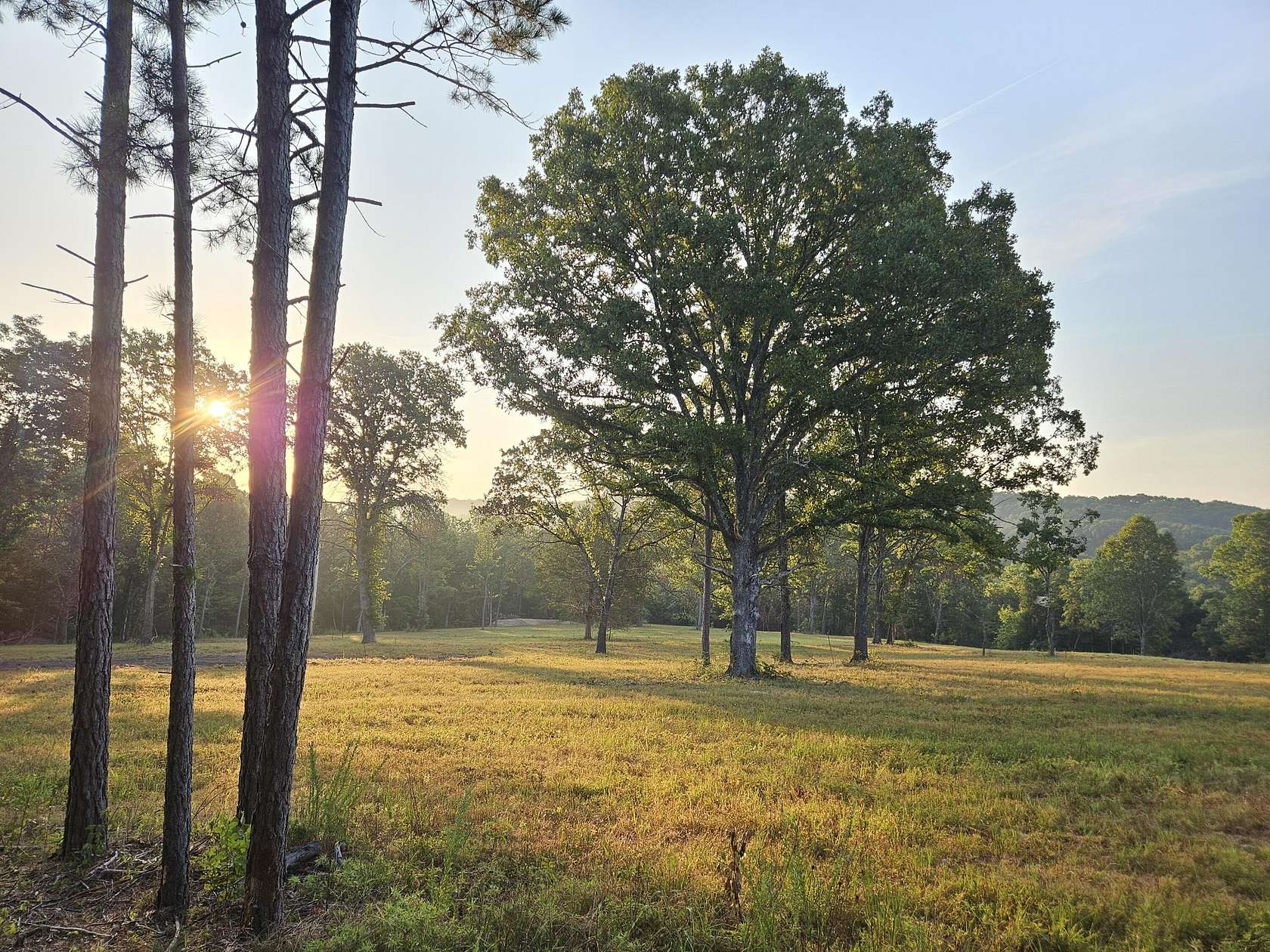 23 Acres of Land for Sale in Drury, Missouri
