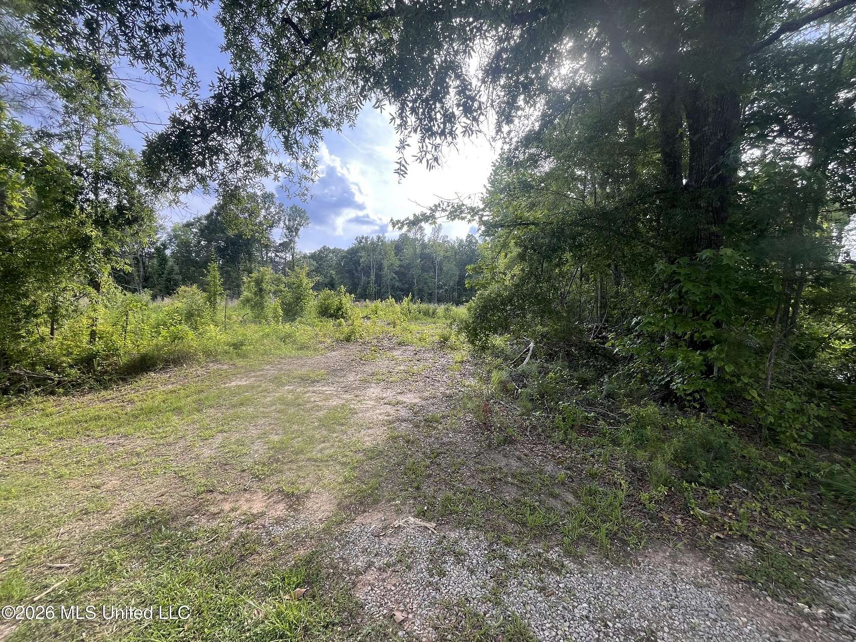 21 Acres of Land for Sale in Forest, Mississippi
