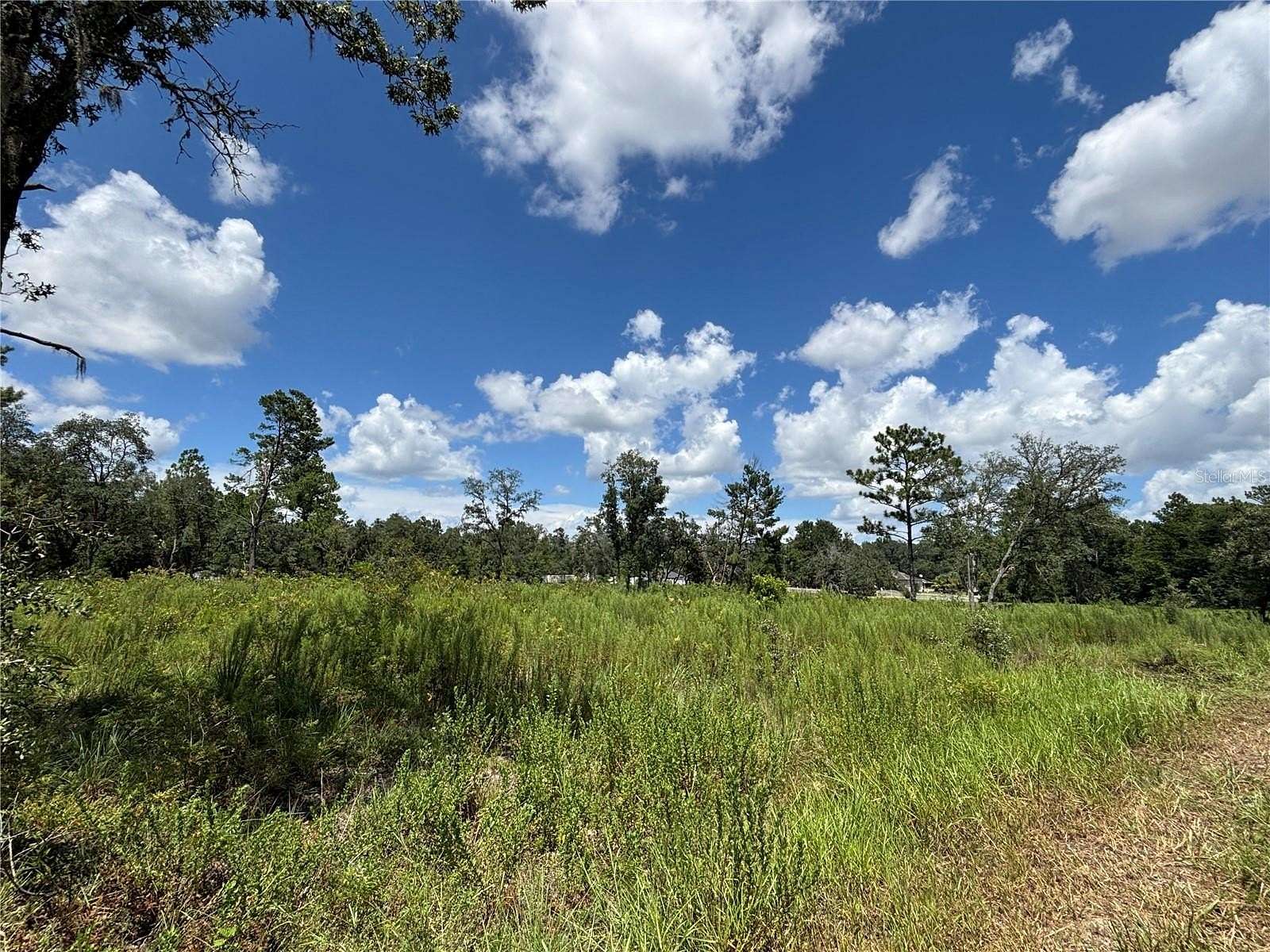 1.57 Acres of Residential Land for Sale in Dunnellon, Florida