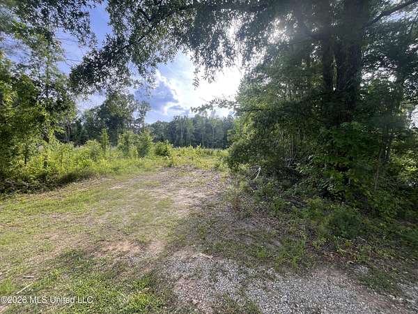 5 Acres of Land for Sale in Forest, Mississippi