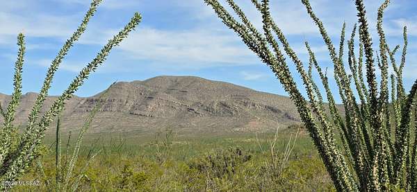 120 Acres of Recreational Land for Sale in Tombstone, Arizona