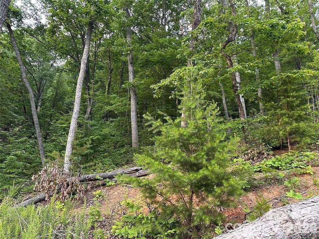 1.5 Acres of Residential Land for Sale in Lake Lure, North Carolina