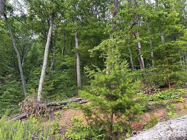 1.5 Acres of Residential Land for Sale in Lake Lure, North Carolina