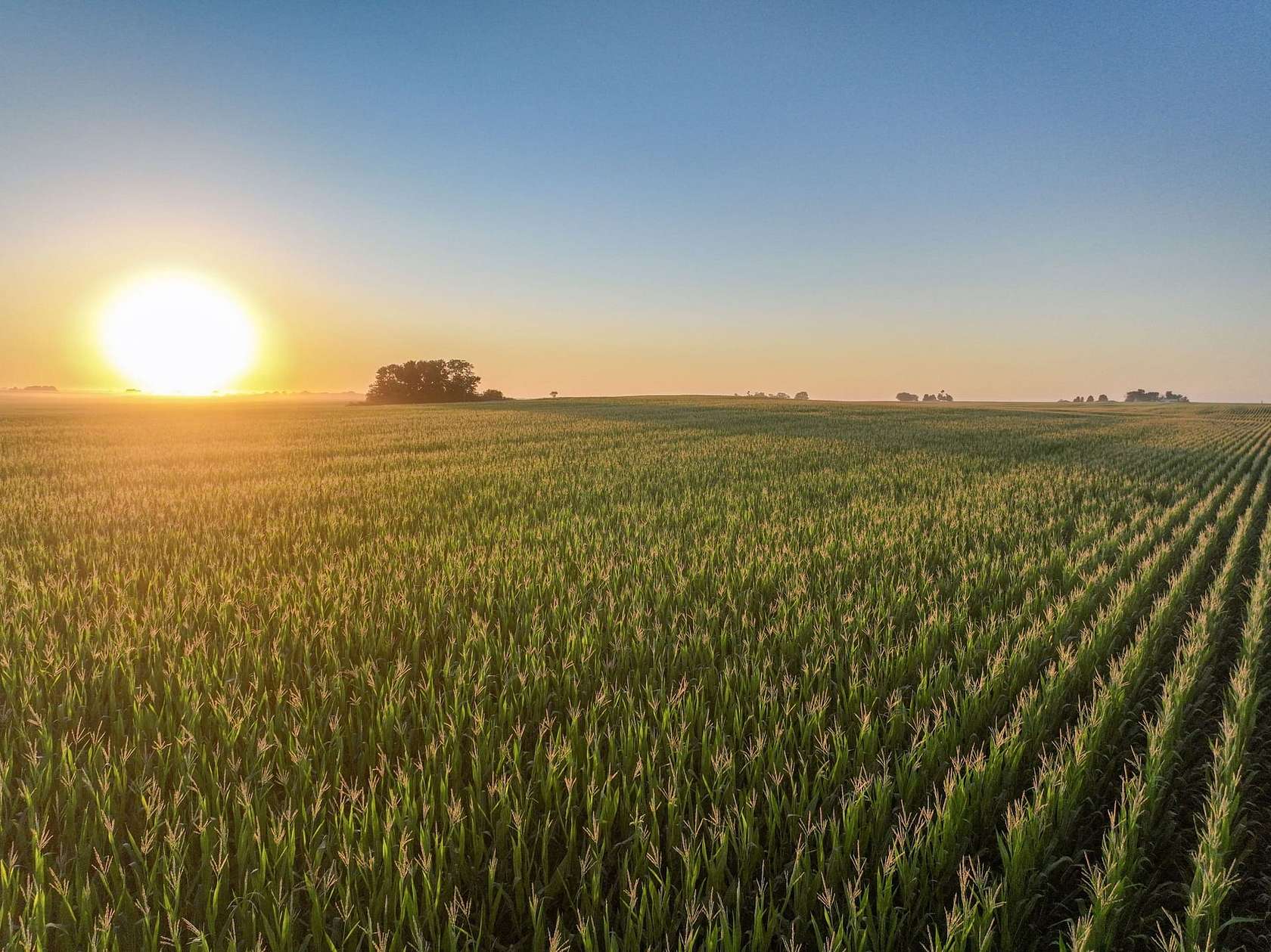 75.3 Acres of Land for Auction in Colo, Iowa