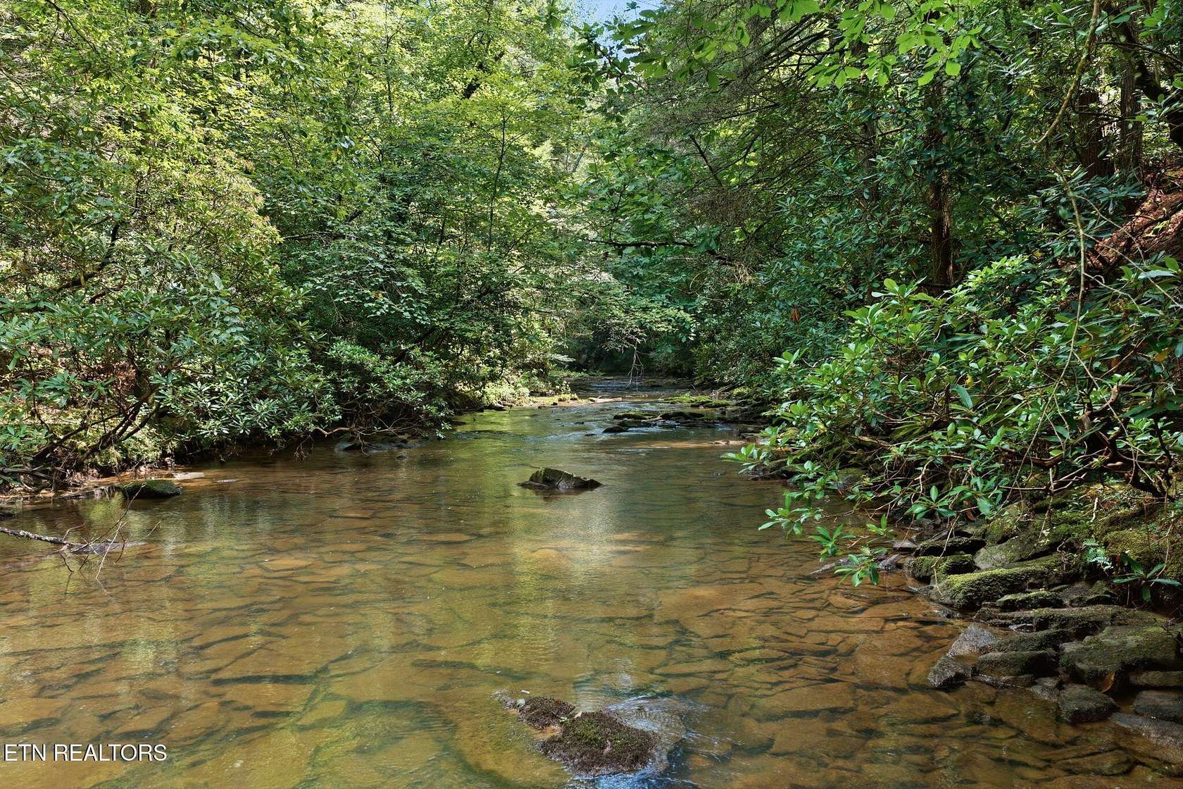 15 Acres of Recreational & Residential Land for Sale in Deer Lodge, Tennessee